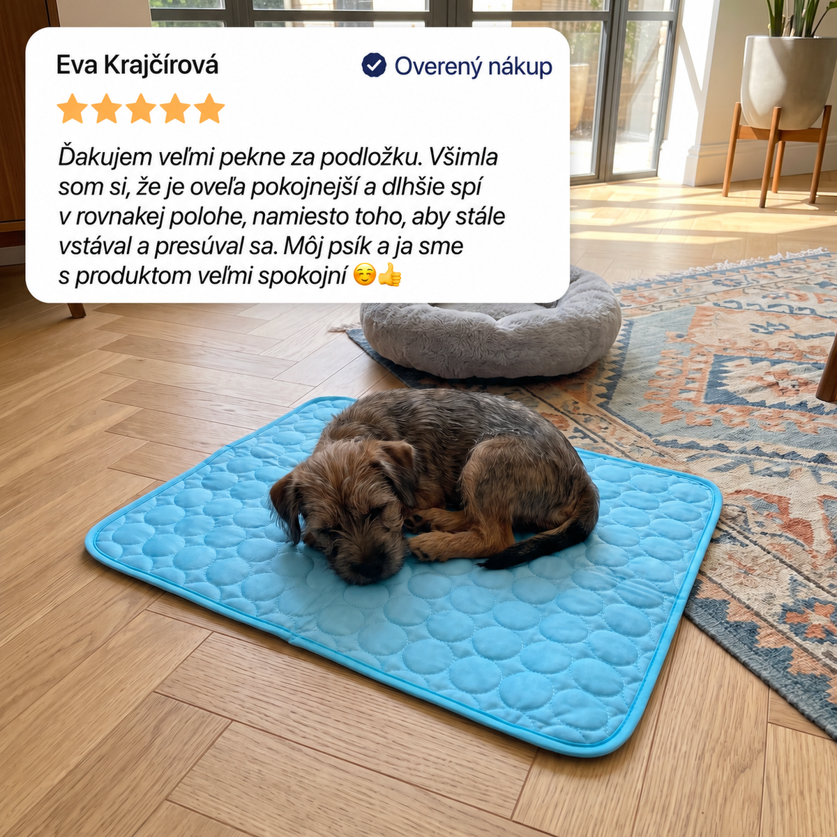 ChillDogs™ Chladiaca podložka pre psov